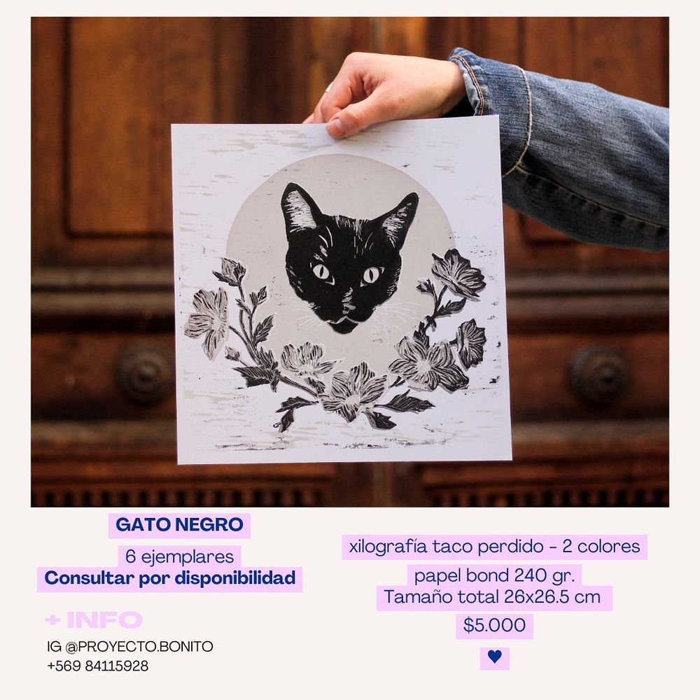 Gatita y Flores - 2