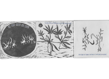 Vertiges et tiges vertes