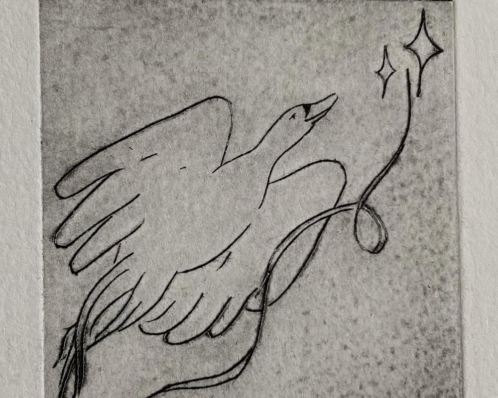 Jour 06 — Les cygnes siffleurs - 2