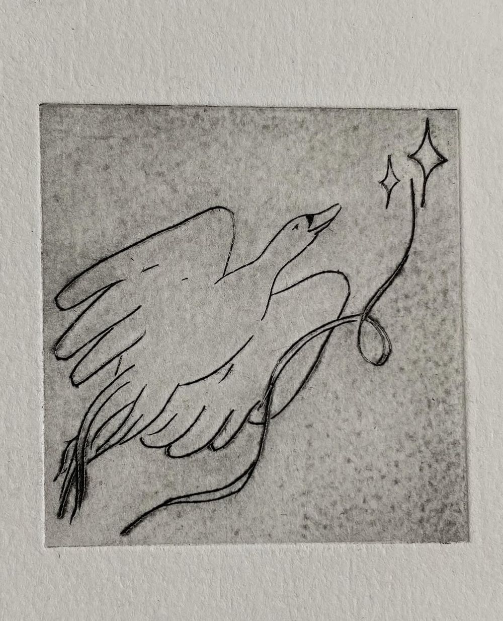 Jour 06 — Les cygnes siffleurs - 2