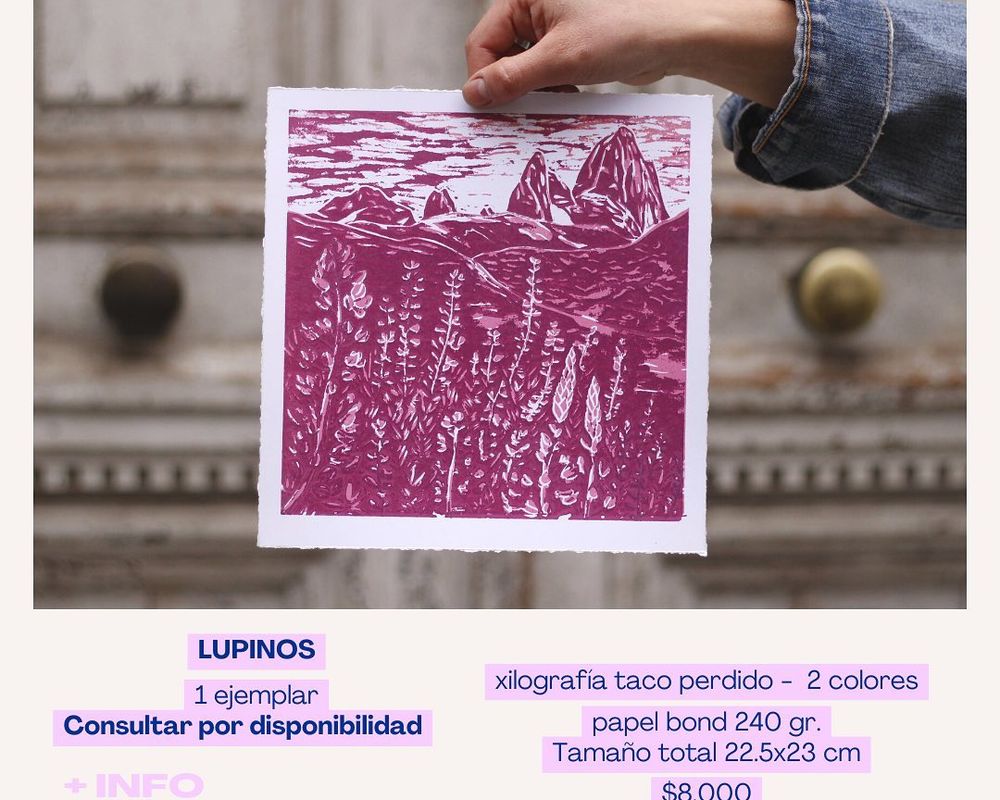 Lupinos - 8