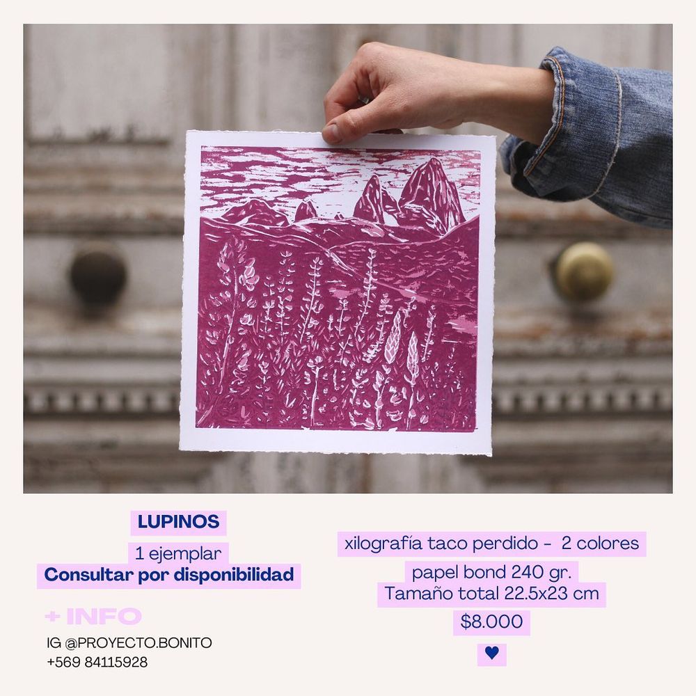 Lupinos - 8