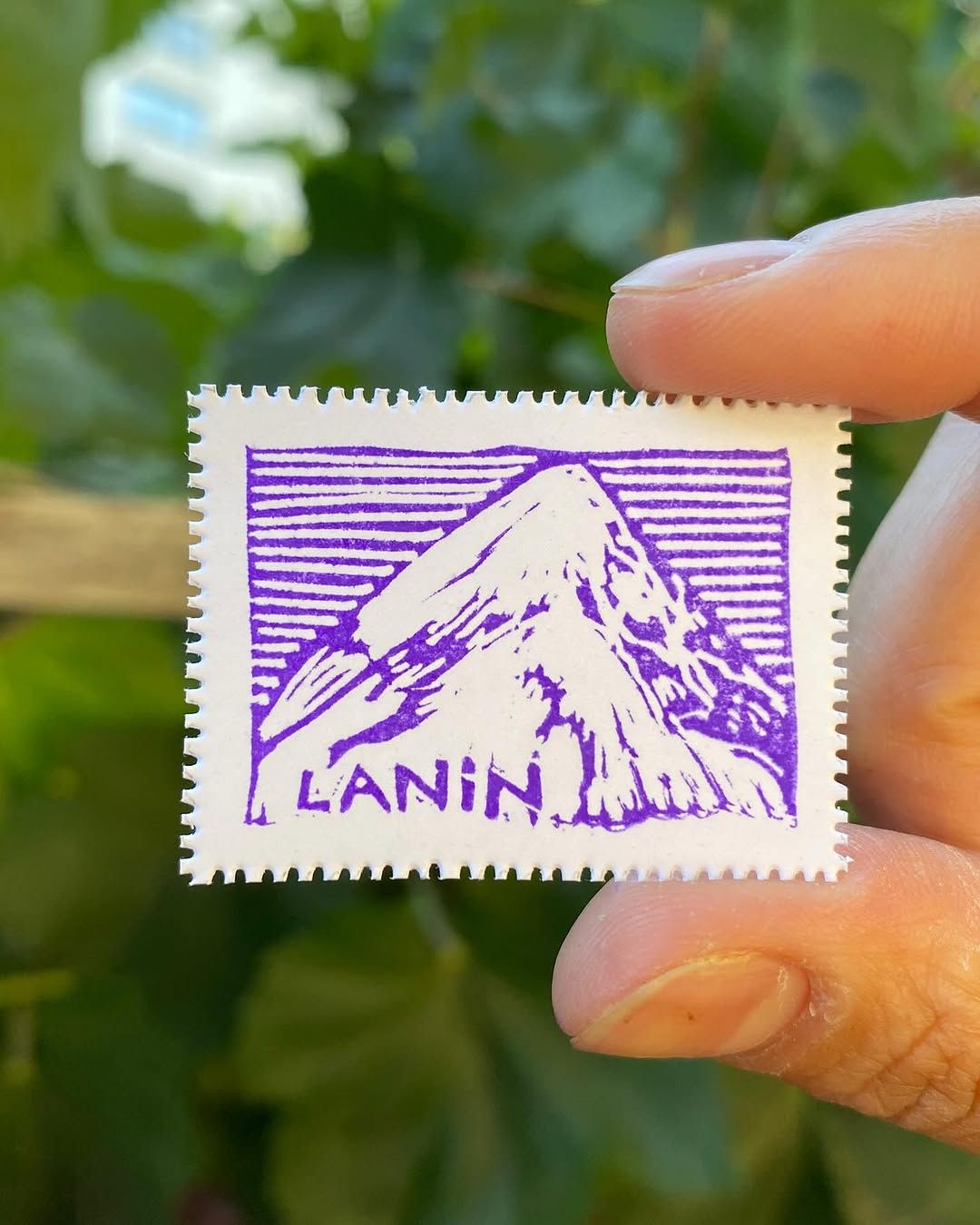 Día 10 — Volcán Lanin - 1