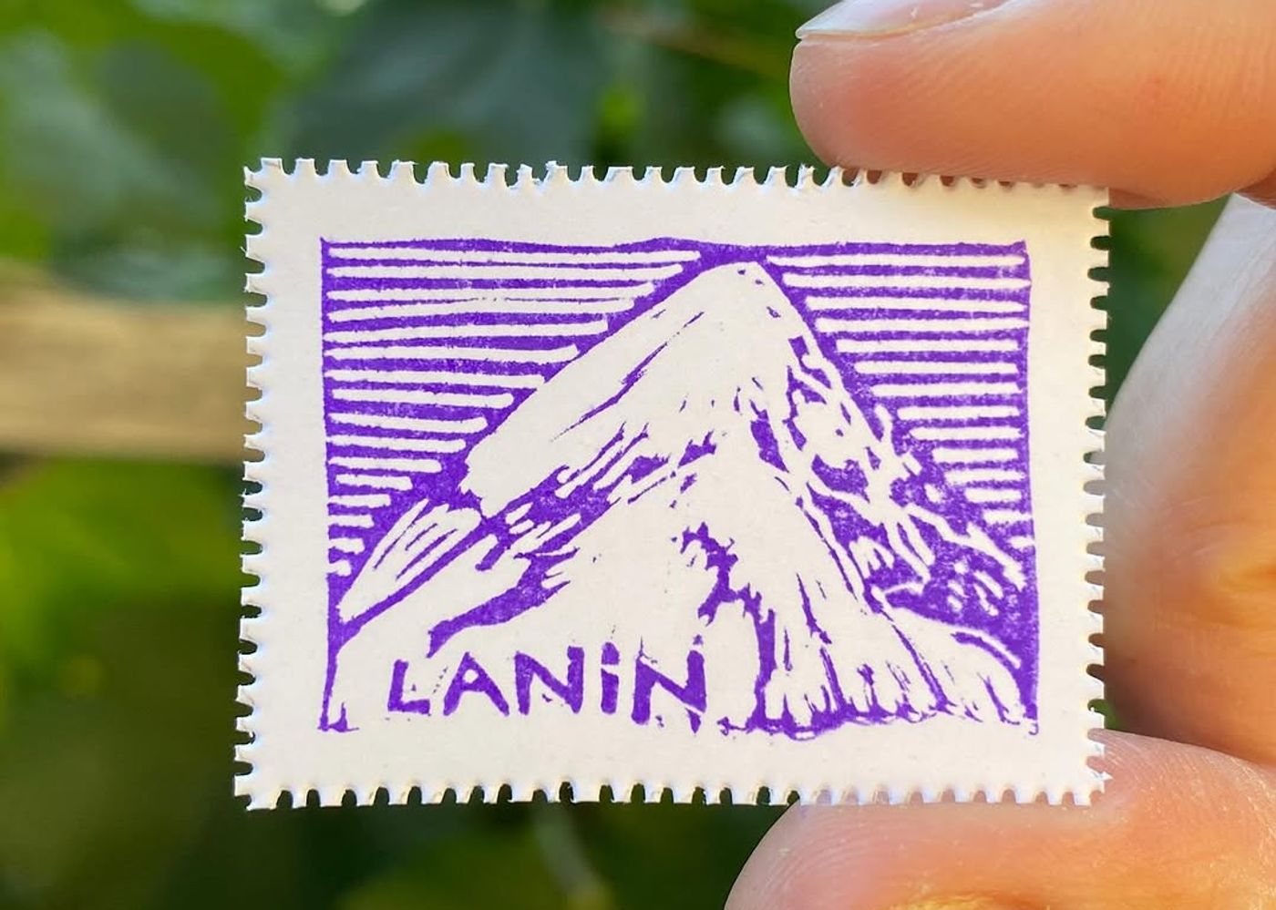 Día 10 — Volcán Lanin - 1