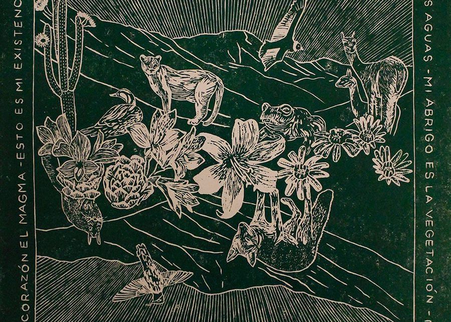 Yo soy la tierra - 1