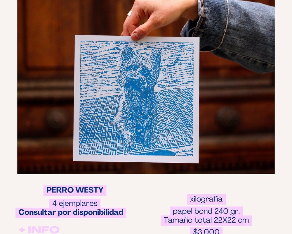 Doglover por acá? 🐶 - 2