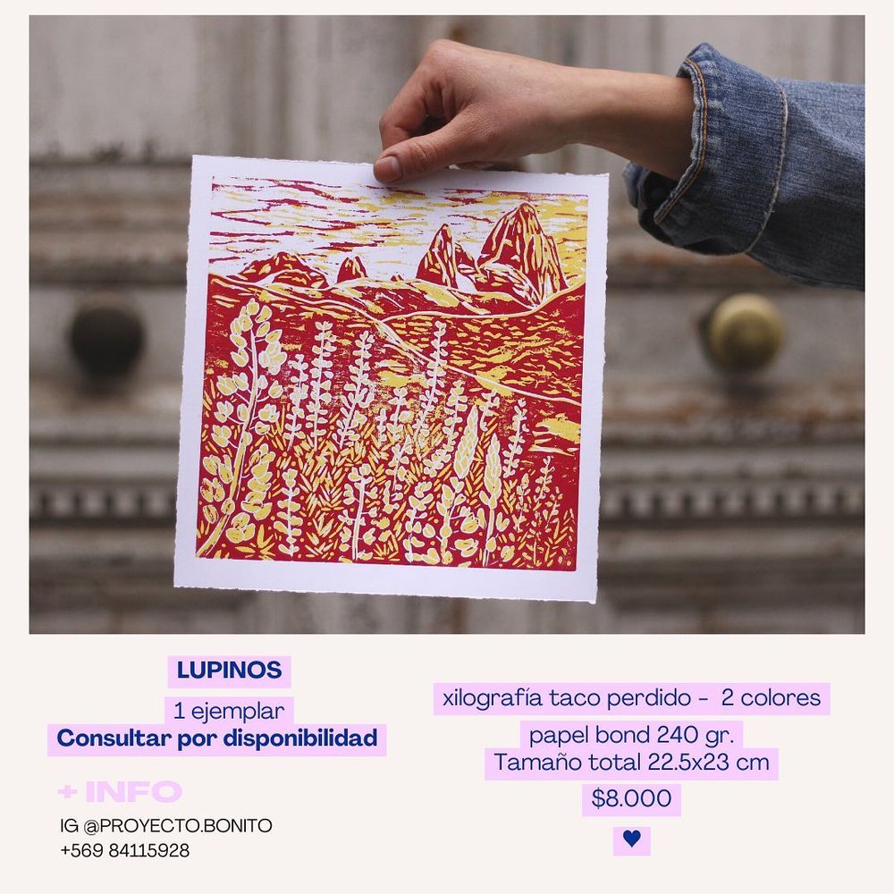 Lupinos - 9