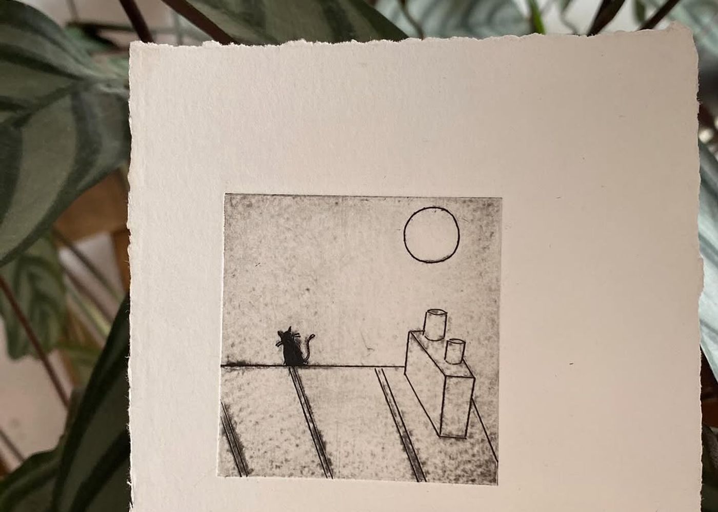 Jour 03 — Je suis le chat qui se promène toi seul - 1