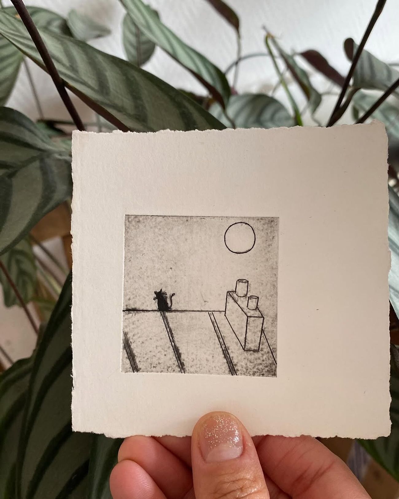 Jour 03 — Je suis le chat qui se promène toi seul - 1