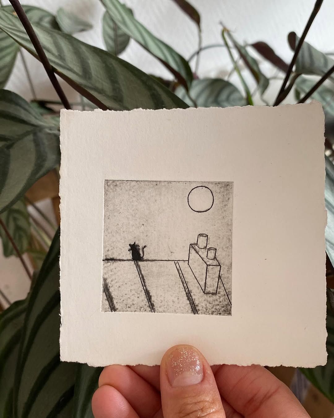 Jour 03 — Je suis le chat qui se promène toi seul - 1