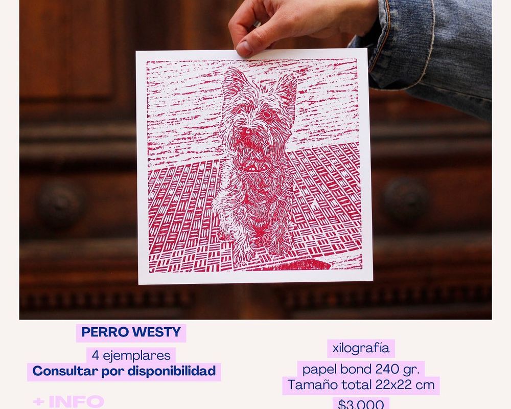 Doglover por acá? 🐶 - 3