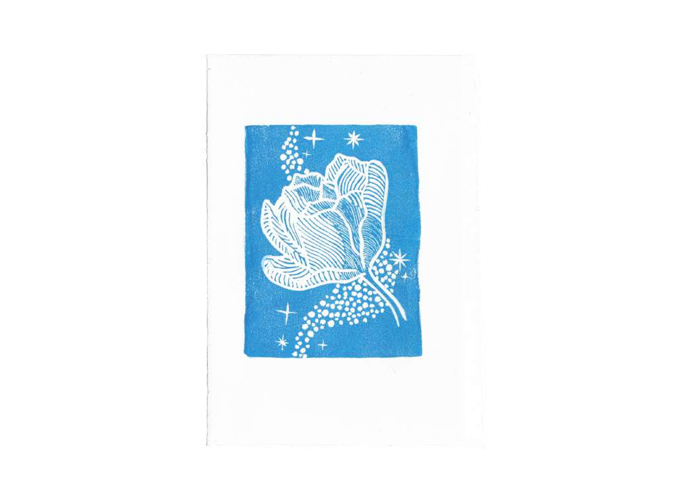 Fleur stellaire