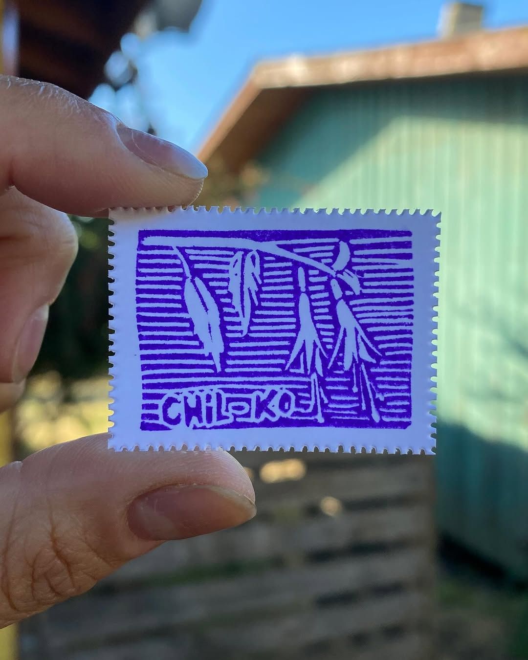 Día 5 — Chilko - 1