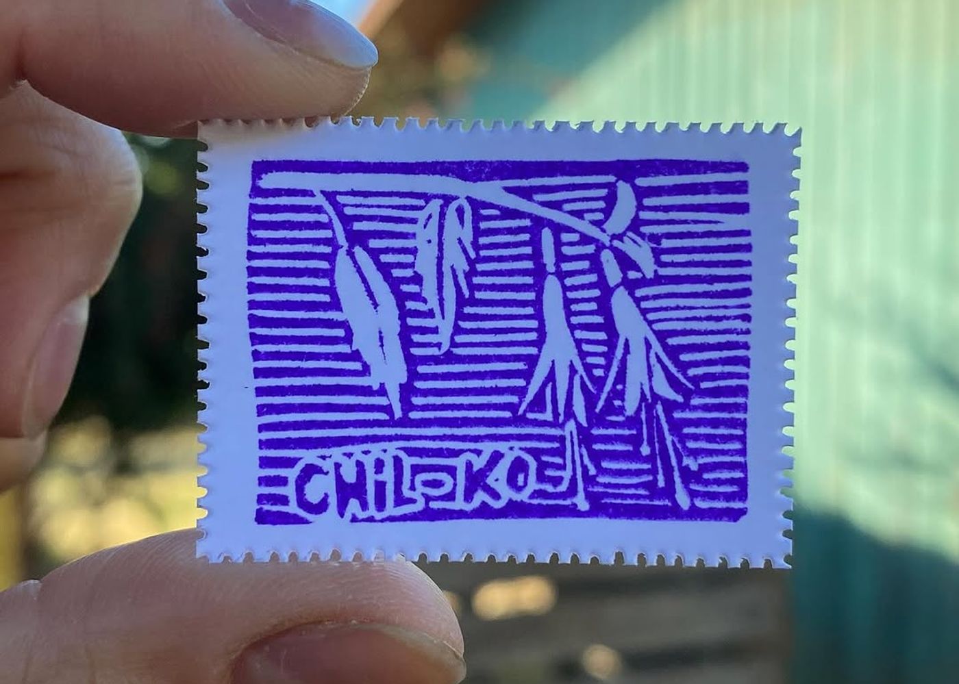 Día 5 — Chilko - 1