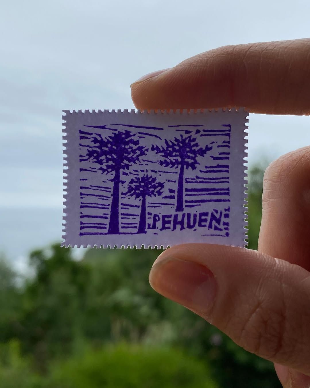 Día 3 — Pehuén - 1