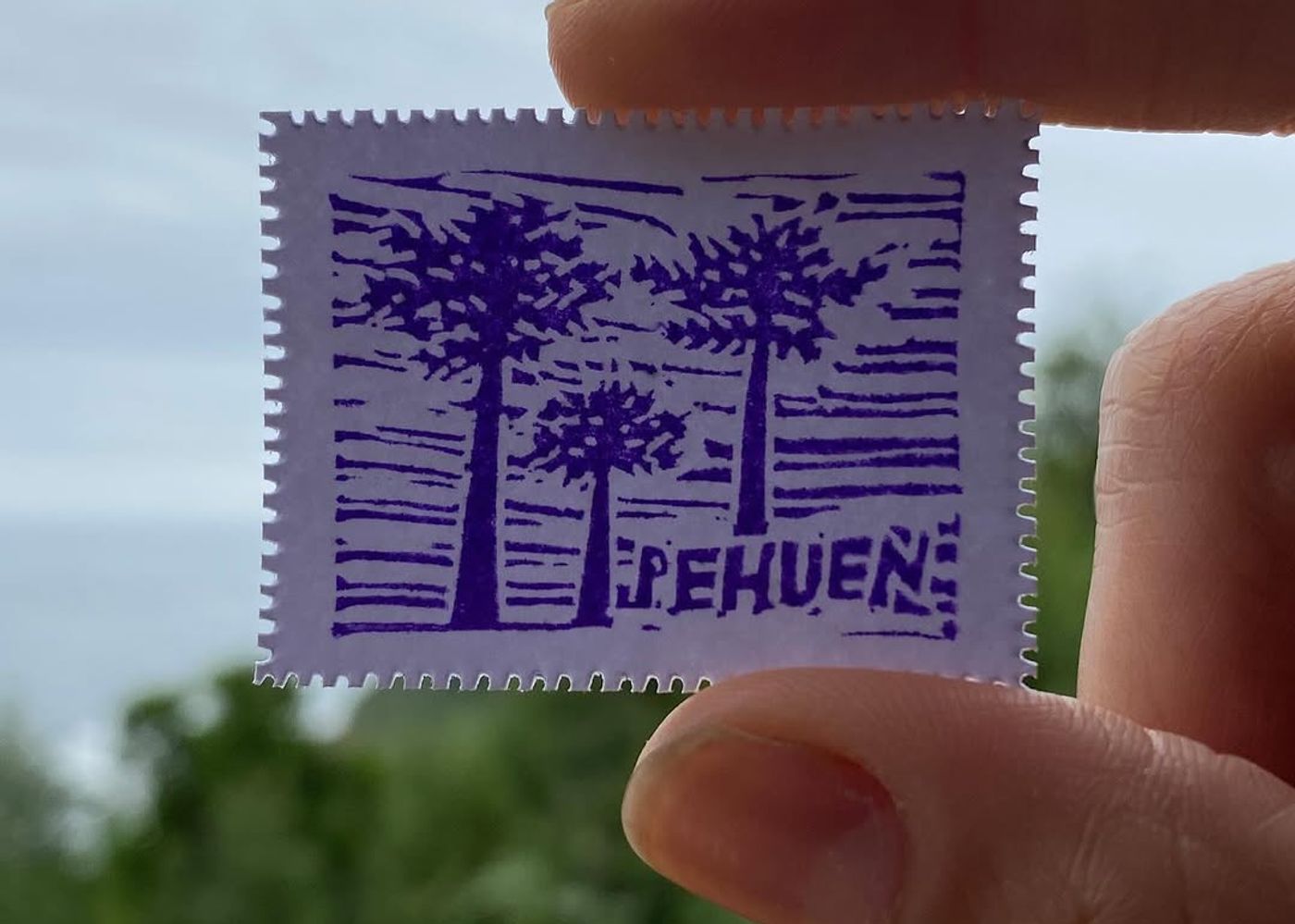 Día 3 — Pehuén - 1