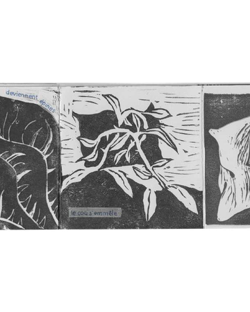 Vertiges et tiges vertes