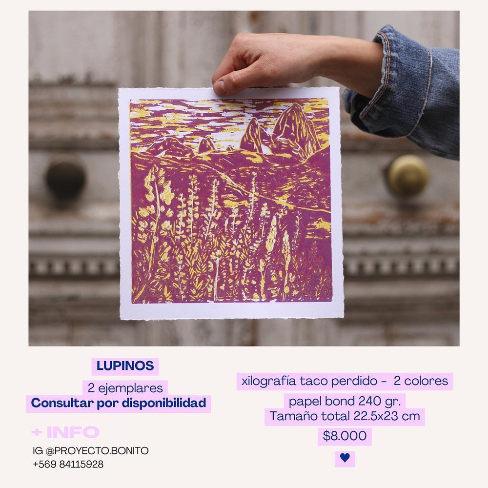 Lupinos - 11