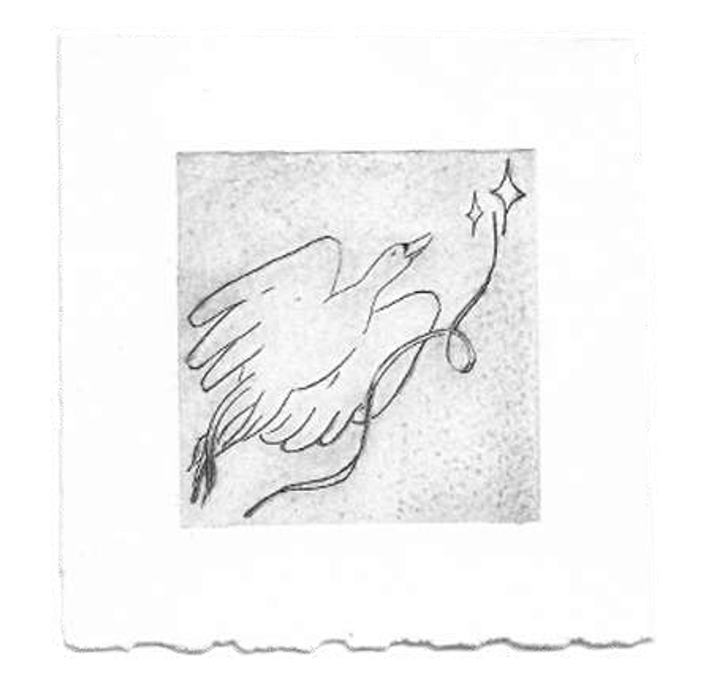 Les cygnes siffleurs