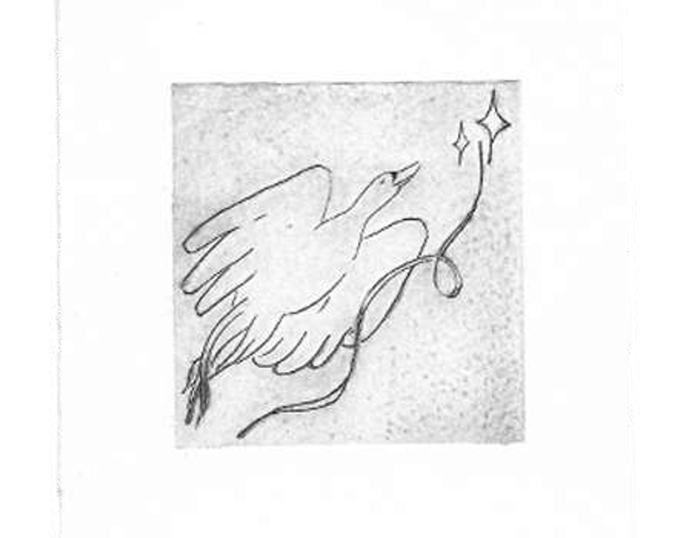 Les cygnes siffleurs