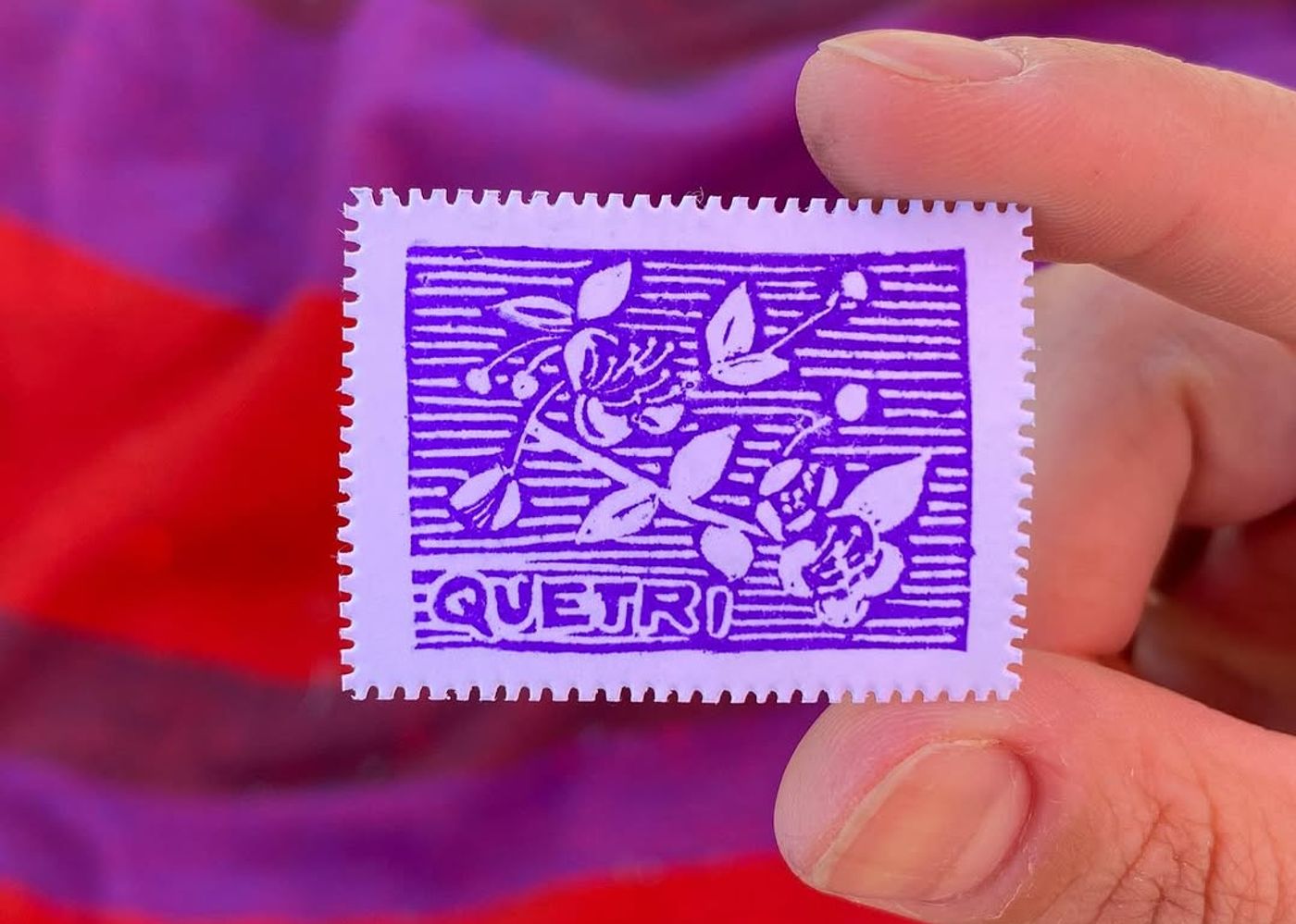 Día 8 — Quetri o Arrayán - 1