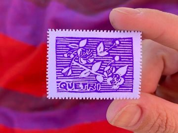 Día 8 — Quetri o Arrayán - 1