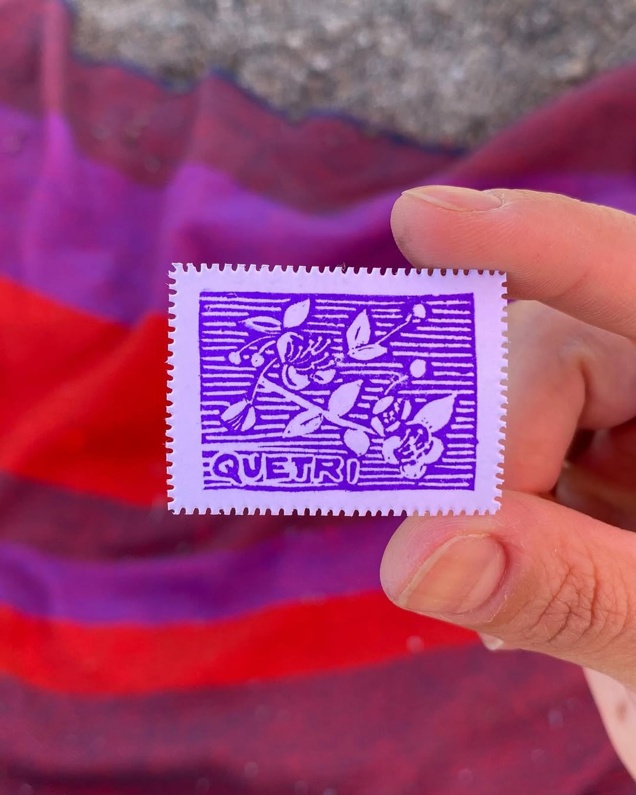 Día 8 — Quetri o Arrayán - 1