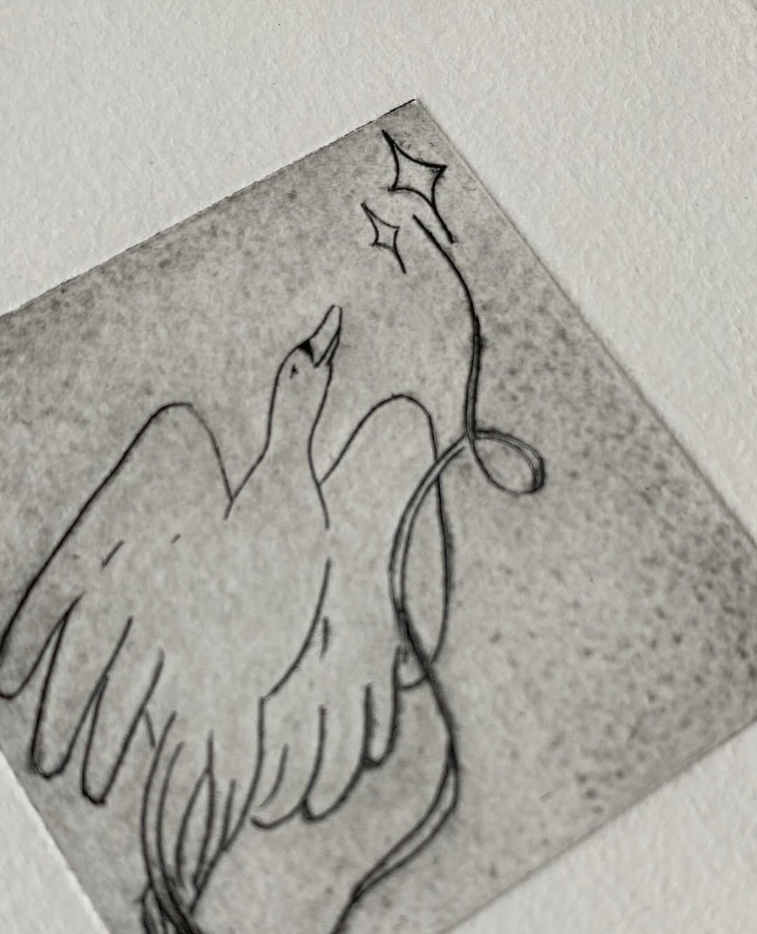 Jour 06 — Les cygnes siffleurs - 1