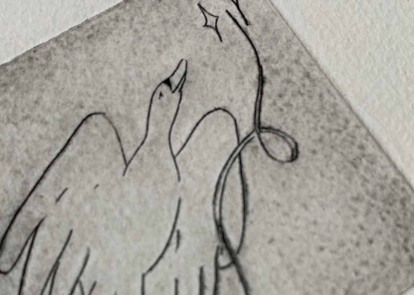 Jour 06 — Les cygnes siffleurs - 1