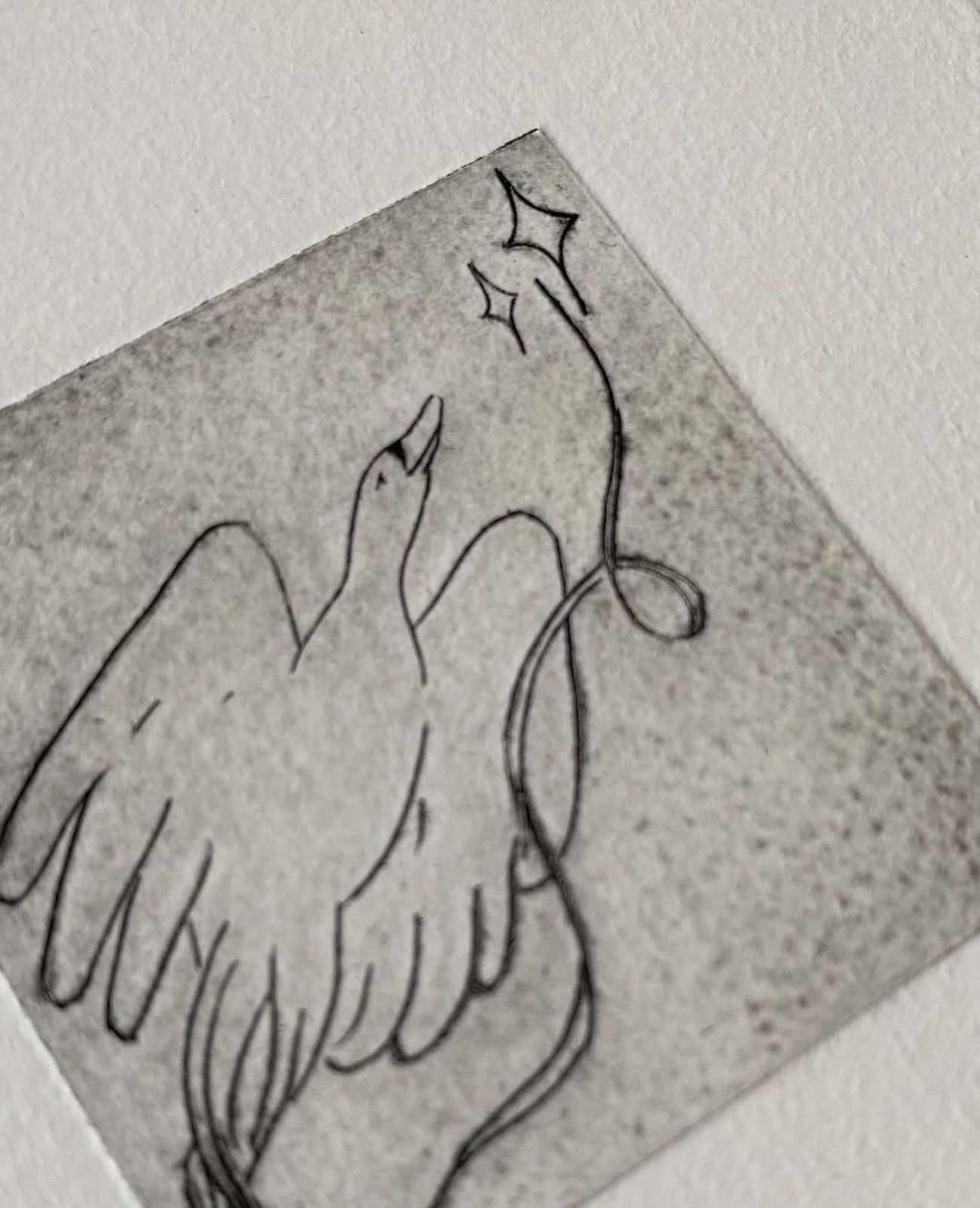 Jour 06 — Les cygnes siffleurs - 1