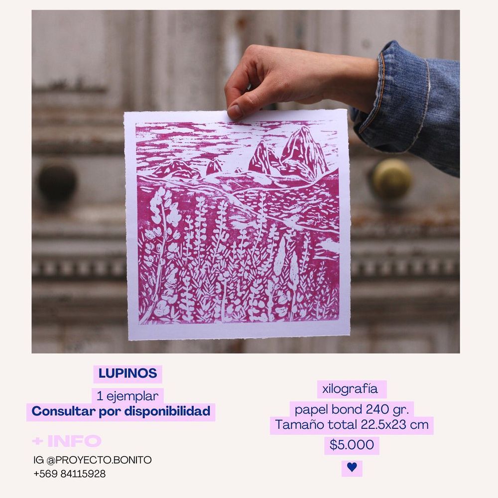 Lupinos - 14