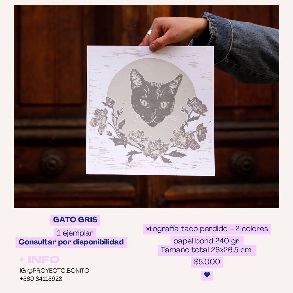 Gatita y Flores - 3