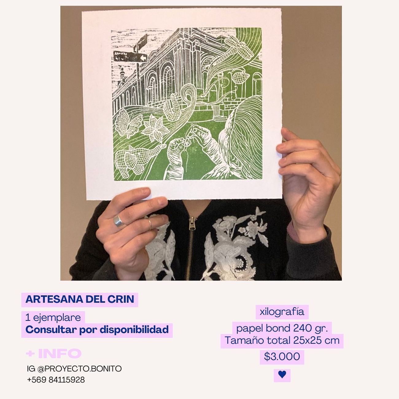 Artesana del crin - 1