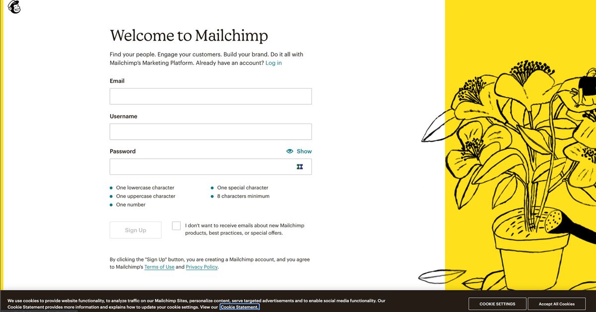 Mailchimp UI UX Examples & Screenshots | SaaSUI