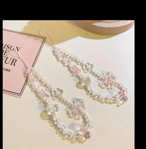 Transparent Charm Lanyard. 