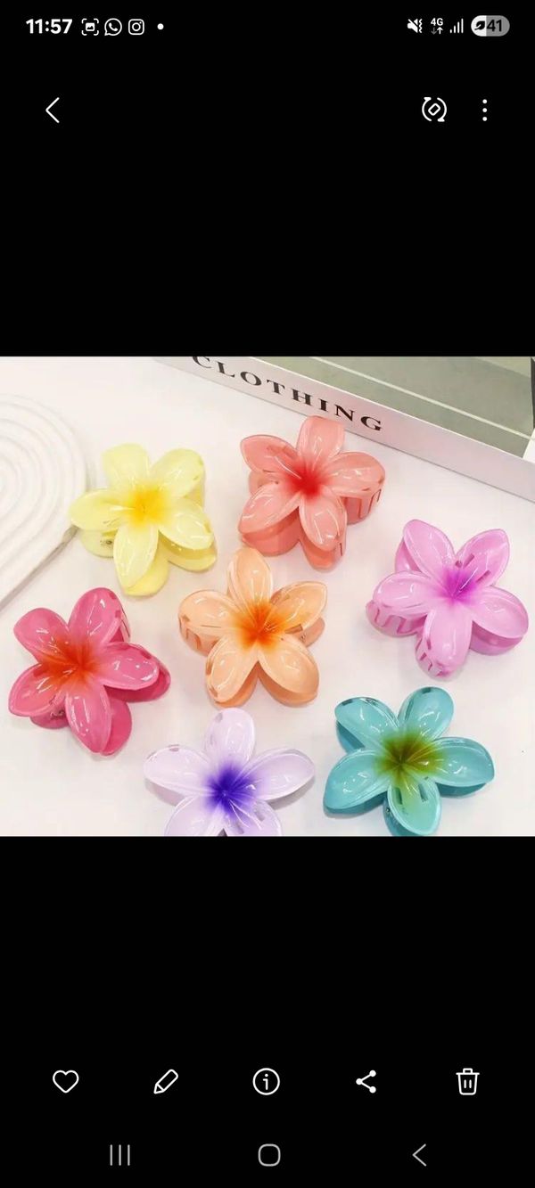 Big Size Floral Clips.