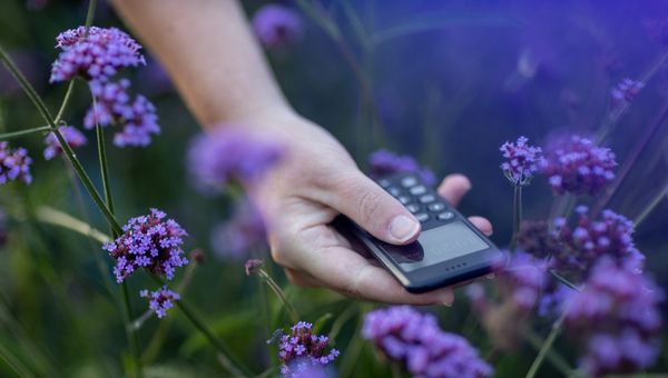 ¿Cómo controlar tu Hisense Smart TV? 5 métodos (2026)