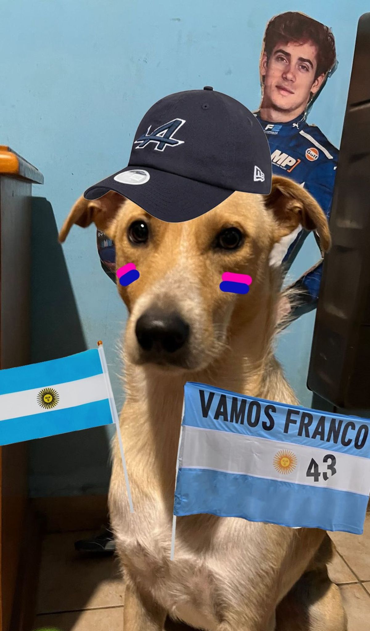 🥳 Final part of the fan-designed collectible | Franco Colapinto