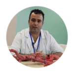 Case study: Hospital de la Santa Creu i Sant Pau