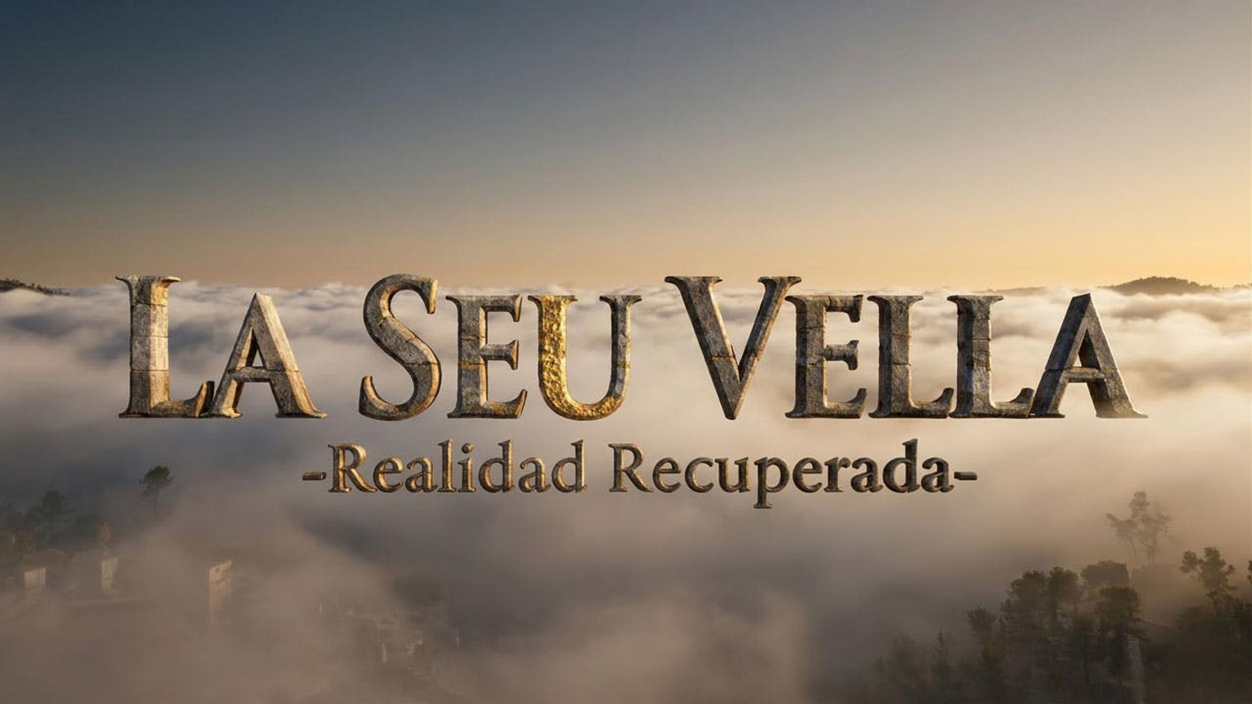 Cas de réussite : La Seu Vella