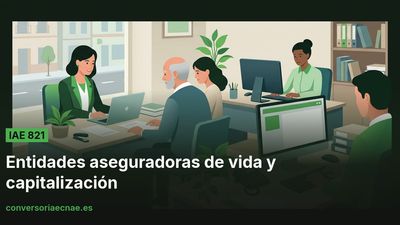 Guía del código IAE 821