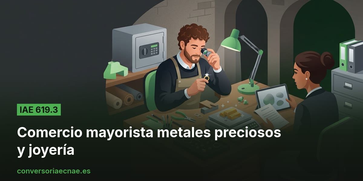 Guía del código IAE 619.3