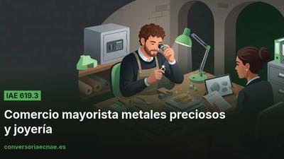 Guía del código IAE 619.3