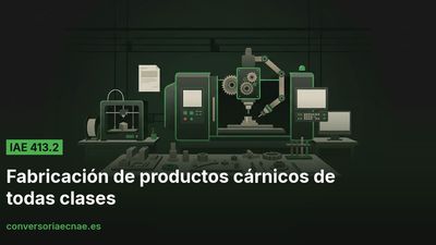 Guía del código IAE 413.2