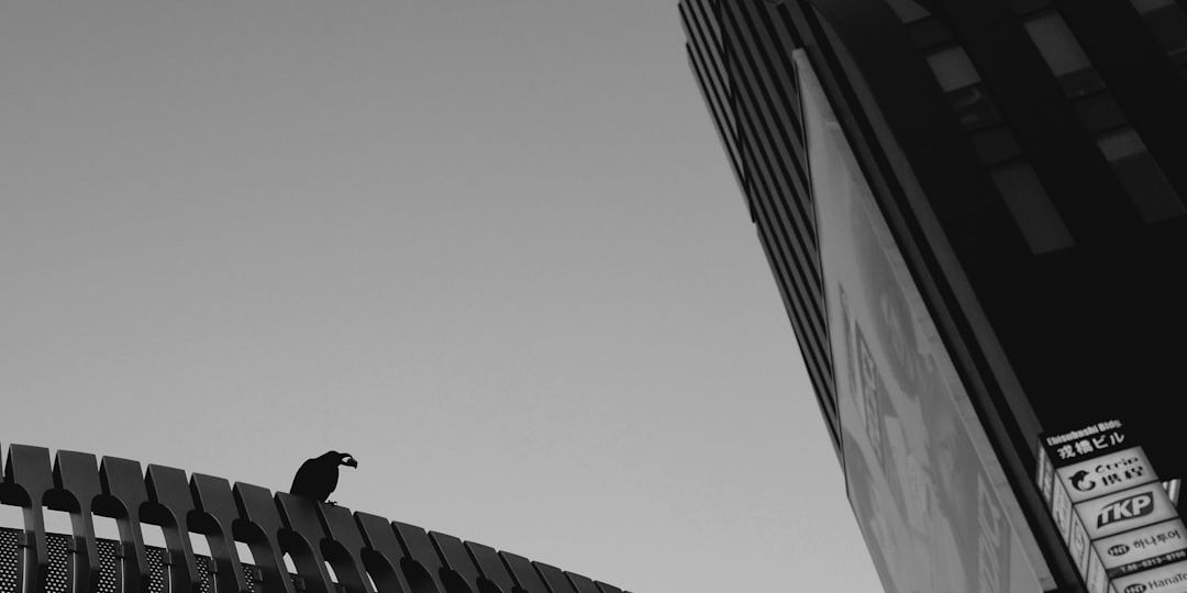 Imagen sobre General