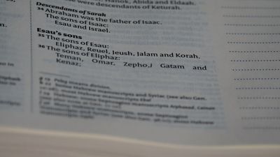 Imagen de IAE cnae iae