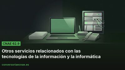 Guía del código CNAE 62.9