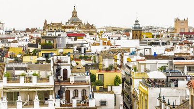 Imagen de CNAE 10.39