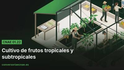 Guía del código CNAE 01.22