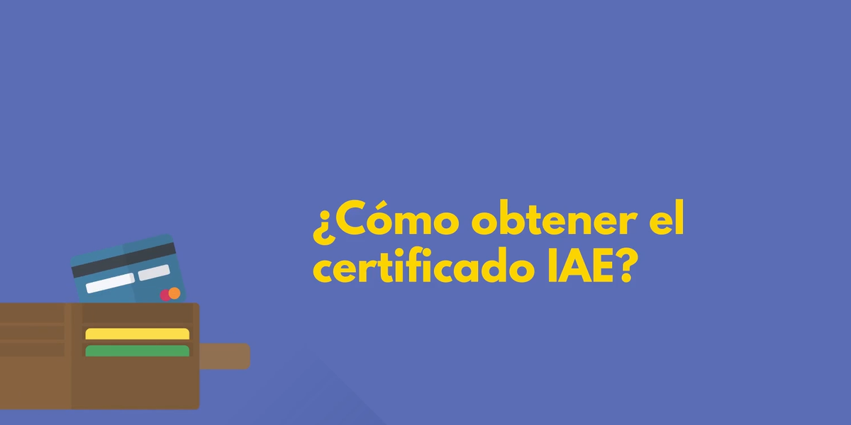¿Cómo Obtener el Certificado IAE? Guía Completa para Autónomos y Empresas